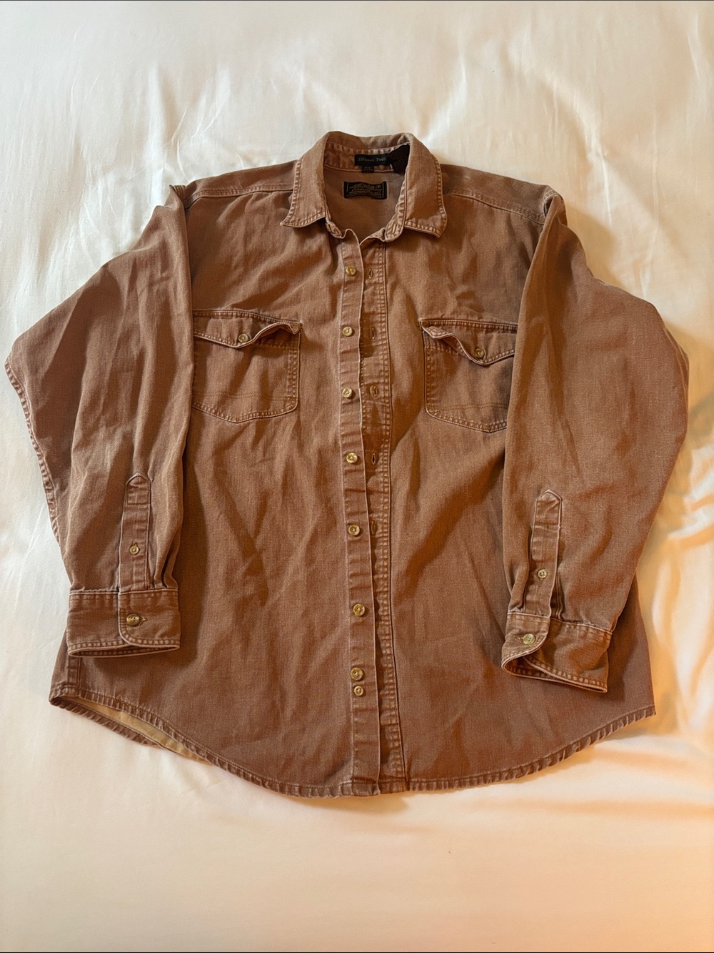 Eddie Bauer Men's Casual Button-Down Shirt in Rust Brown